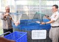 Polda Metro Jaya dan Polres Jakbar Hasilkan 219 Kg Ikan Nila dari Panen