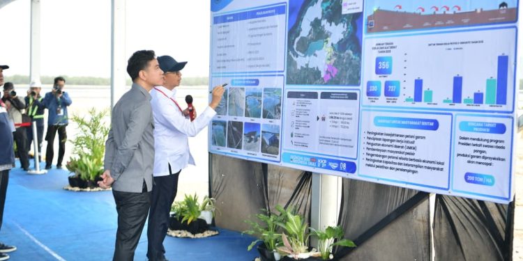 Wapres Gibran Rakabuming Raka Tinjau Industri Garam di Rote Ndao
