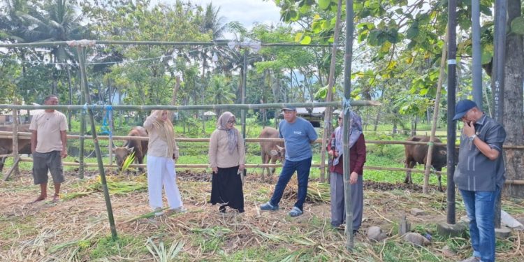DPRD Gorontalo Tingkatkan Pengawasan Hewan Kurban Menjelang Iduladha