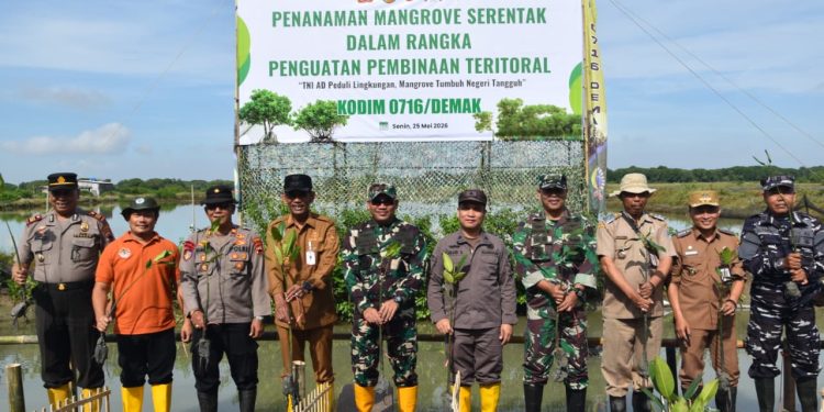 Penanaman Mangrove di Dukuh Gojoyo untuk Cegah Abrasi