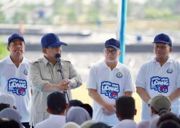 Presiden Prabowo Dorong Pengembangan Tambak Udang dan Ikan untuk Swasembada Protein