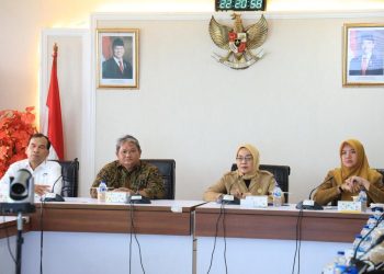 Penguatan Manajemen Risiko Keuangan Pemerintah Ditekankan oleh Ditjen Bina Adwil