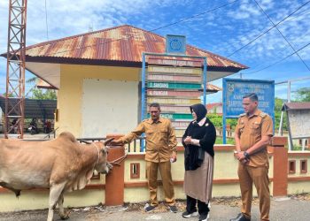 Pemerintah Kota Banda Aceh Salurkan Hewan Kurban ke Berbagai Gampong