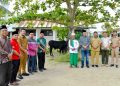 Pemkab Serdang Bedagai Distribusikan 176 Hewan Kurban untuk Warga
