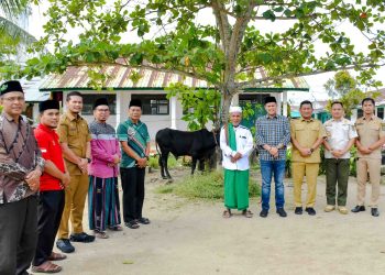 Pemkab Serdang Bedagai Distribusikan 176 Hewan Kurban untuk Warga