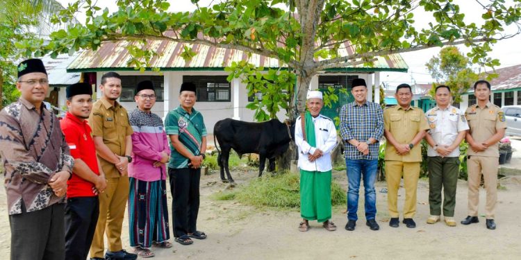 Pemkab Serdang Bedagai Distribusikan 176 Hewan Kurban untuk Warga