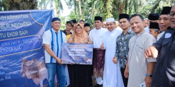 Bupati Siak Distribusikan Sapi Kurban Bantuan Presiden di Maredan Barat