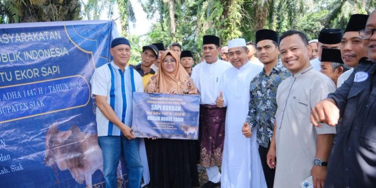 Bupati Siak Distribusikan Sapi Kurban Bantuan Presiden di Maredan Barat