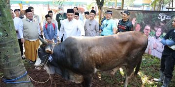 Ketersediaan Hewan Kurban di Indonesia Surplus, Pasokan Terjamin