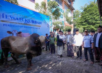Menteri ATR/BPN Nusron Wahid Serahkan Hewan Kurban di Ponpes Darunnajah