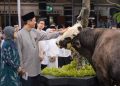 Menkeu Purbaya Serahkan Sapi Kurban Berbobot 868 Kilogram di Jakarta