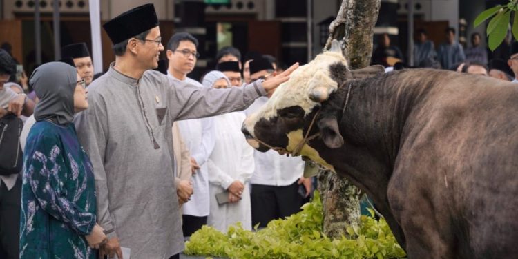 Menkeu Purbaya Serahkan Sapi Kurban Berbobot 868 Kilogram di Jakarta