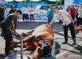 Polres Bogor Distribusikan 53 Hewan Kurban pada Iduladha