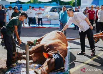 Polres Bogor Distribusikan 53 Hewan Kurban pada Iduladha