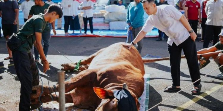 Polres Bogor Distribusikan 53 Hewan Kurban pada Iduladha