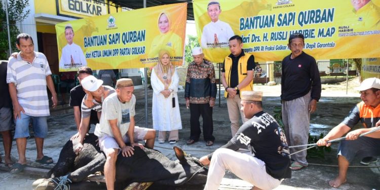 Wakil Gubernur Gorontalo Pastikan Distribusi Sapi Kurban Berjalan Lancar