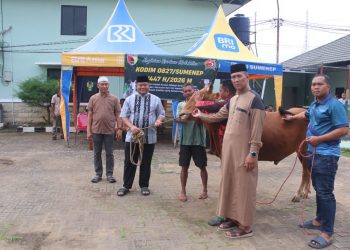 Kodim 0827/Sumenep Distribusikan Hewan Kurban untuk Masyarakat dan Prajurit