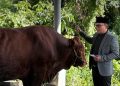 Pemkab Kubu Raya Salurkan Hewan Kurban ke Sembilan Kecamatan