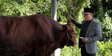 Pemkab Kubu Raya Salurkan Hewan Kurban ke Sembilan Kecamatan