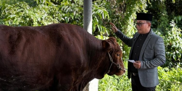 Pemkab Kubu Raya Salurkan Hewan Kurban ke Sembilan Kecamatan