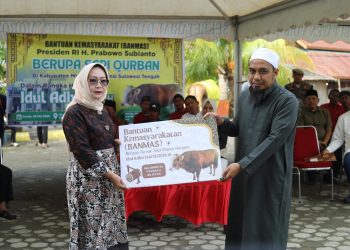 Bantuan Sapi Kurban Presiden di Morowali Jadi Simbol Kepedulian