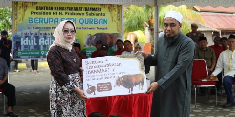 Bantuan Sapi Kurban Presiden di Morowali Jadi Simbol Kepedulian