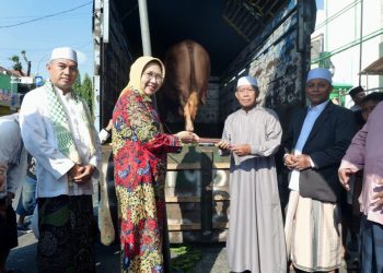 Sapi Kurban Presiden Dorong Potensi Peternakan Lumajang