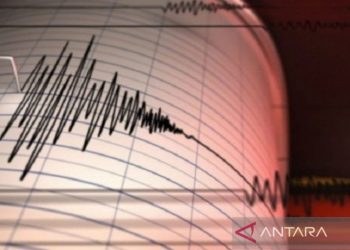Gempa Magnitudo 3,6 Guncang Wilayah Melonguane, Sulawesi Utara