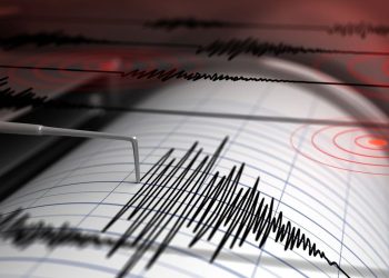 Gempa Magnitudo 3,6 Guncang Halmahera Barat, Maluku Utara