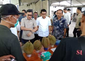Durian Parigi Moutong Sukses Ekspor ke Tiongkok