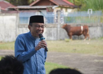 Presiden Prabowo Berikan Bantuan Sapi Kurban untuk Warga Padang Terdampak Banjir