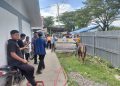 Warga Huntara Lubuk Buaya Terima Bantuan Tiga Sapi Kurban