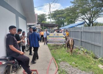 Warga Huntara Lubuk Buaya Terima Bantuan Tiga Sapi Kurban