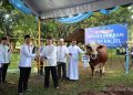 Polda Kalsel Distribusikan 159 Hewan Kurban pada Idul Adha 1447 H
