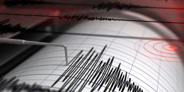 Gempa Magnitudo 3,6 Guncang Halmahera Barat, Maluku Utara