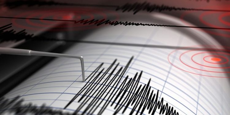 Gempa Magnitudo 3,6 Guncang Halmahera Barat, Maluku Utara