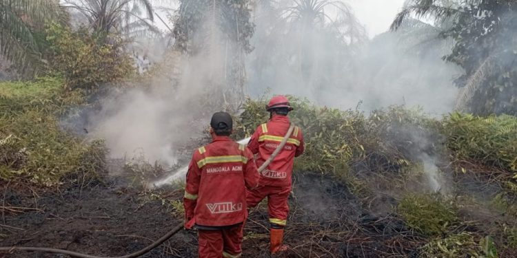 Manggala Agni Tingkatkan Upaya Pendinginan Lahan Gambut di Riau