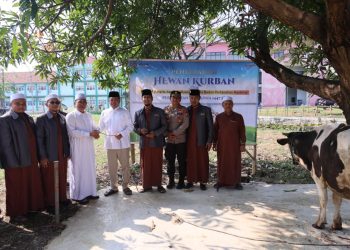 Menteri ATR Nusron Wahid Serahkan Hewan Kurban ke Ponpes Attaqwa