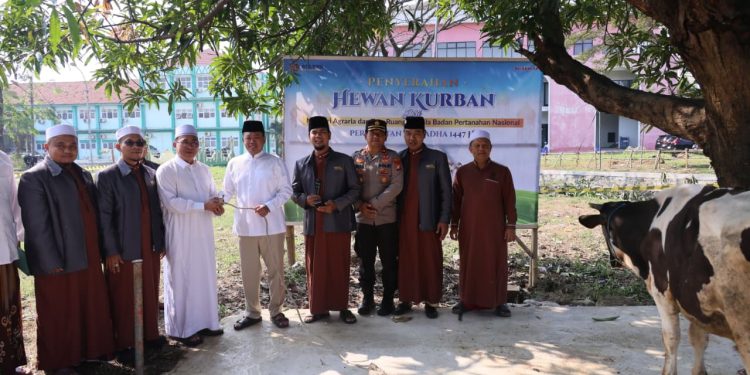 Menteri ATR Nusron Wahid Serahkan Hewan Kurban ke Ponpes Attaqwa