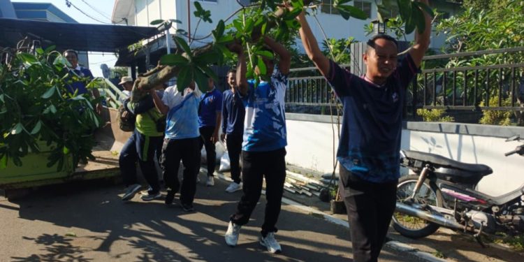 Penanaman Pohon Pule di Makam Kanjeng Soemantri untuk Pelestarian Budaya