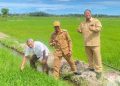 Uji Coba Padi Gamagora 7 di Kalimantan Timur untuk Pertanian Tadah Hujan