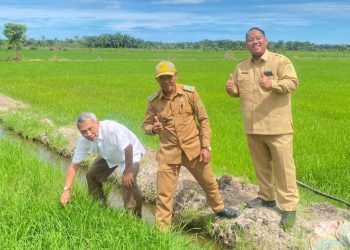 Uji Coba Padi Gamagora 7 di Kalimantan Timur untuk Pertanian Tadah Hujan