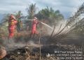 Kebakaran Lahan Gambut di Riau Terus Jadi Sorotan Meski Diguyur Hujan