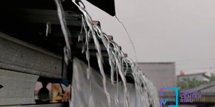 Delapan Titik Panas Terpantau di Riau Meski Cuaca Cerah