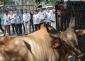 Pertamina Patra Niaga Distribusikan 2.031 Hewan Kurban di Iduladha 1447 H