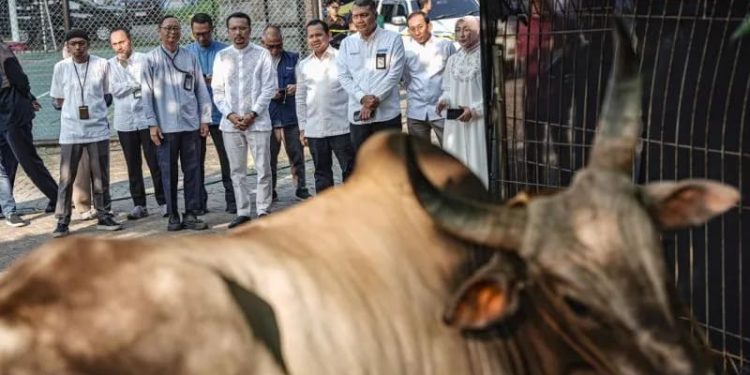 Pertamina Patra Niaga Distribusikan 2.031 Hewan Kurban di Iduladha 1447 H