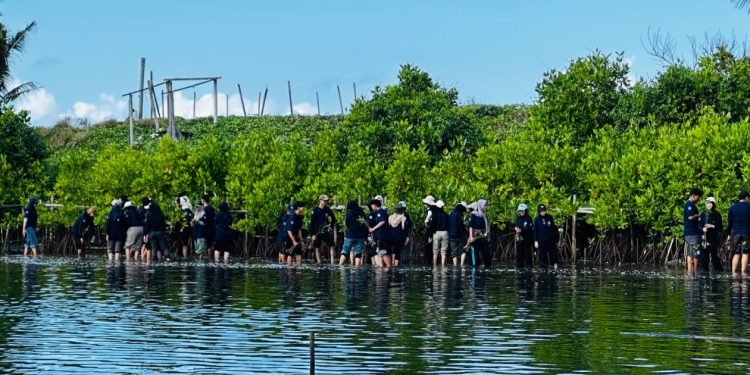 HMP UGM Lakukan Penanaman 1.000 Mangrove di Pesisir Kulon Progo