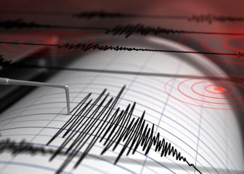 Gempa Magnitudo 3,1 Guncang Barat Laut Labuha, Maluku Utara