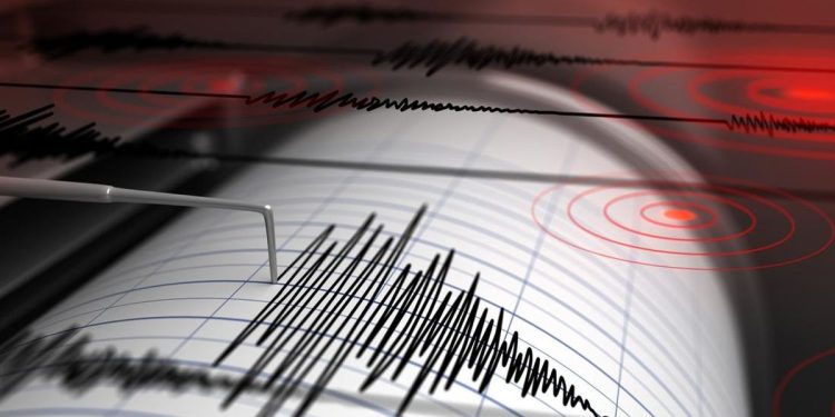 Gempa Magnitudo 3,1 Guncang Barat Laut Labuha, Maluku Utara