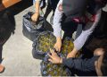 Polres Bantul Sita Ratusan Botol Miras Ilegal dan Oplosan di Sewon, Tiga Warga Diamankan